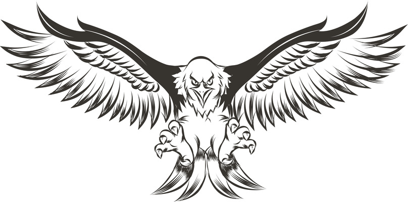 Detail Eagle Wings Spread Clipart Nomer 26