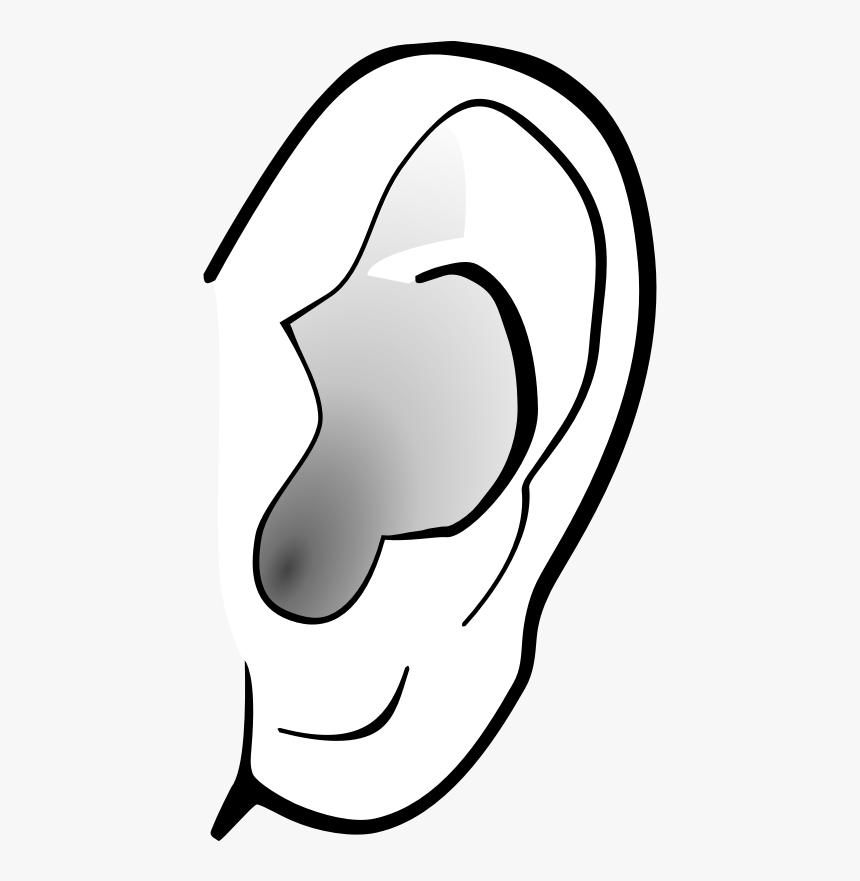 Detail Ear Clip Art Nomer 27