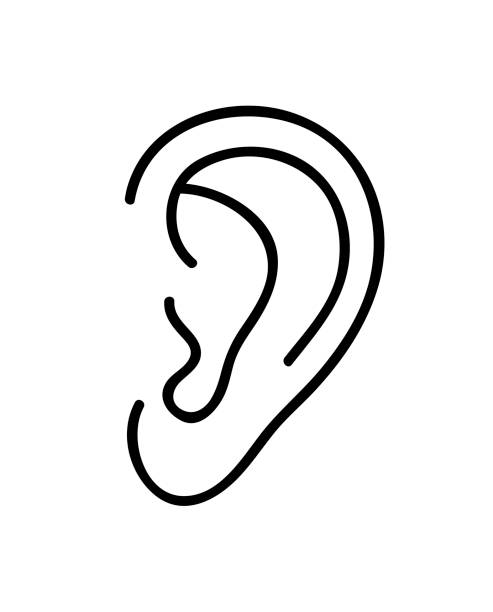 Ear Clipart - KibrisPDR