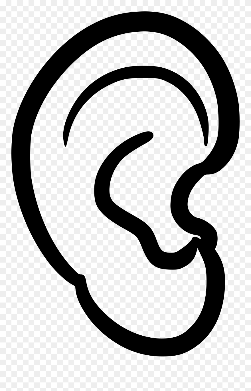 Detail Ear Clipart Nomer 14