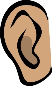 Detail Ear Clipart Nomer 43