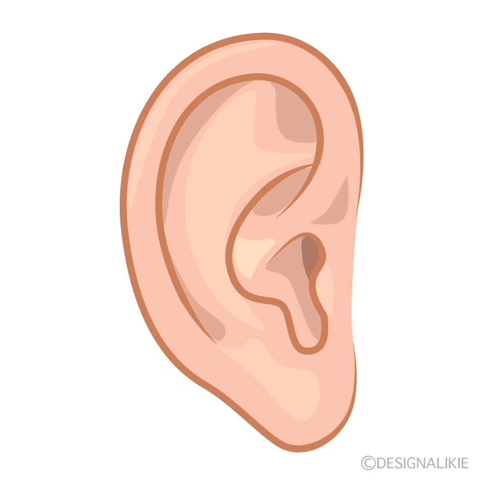 Detail Ear Clipart Nomer 6