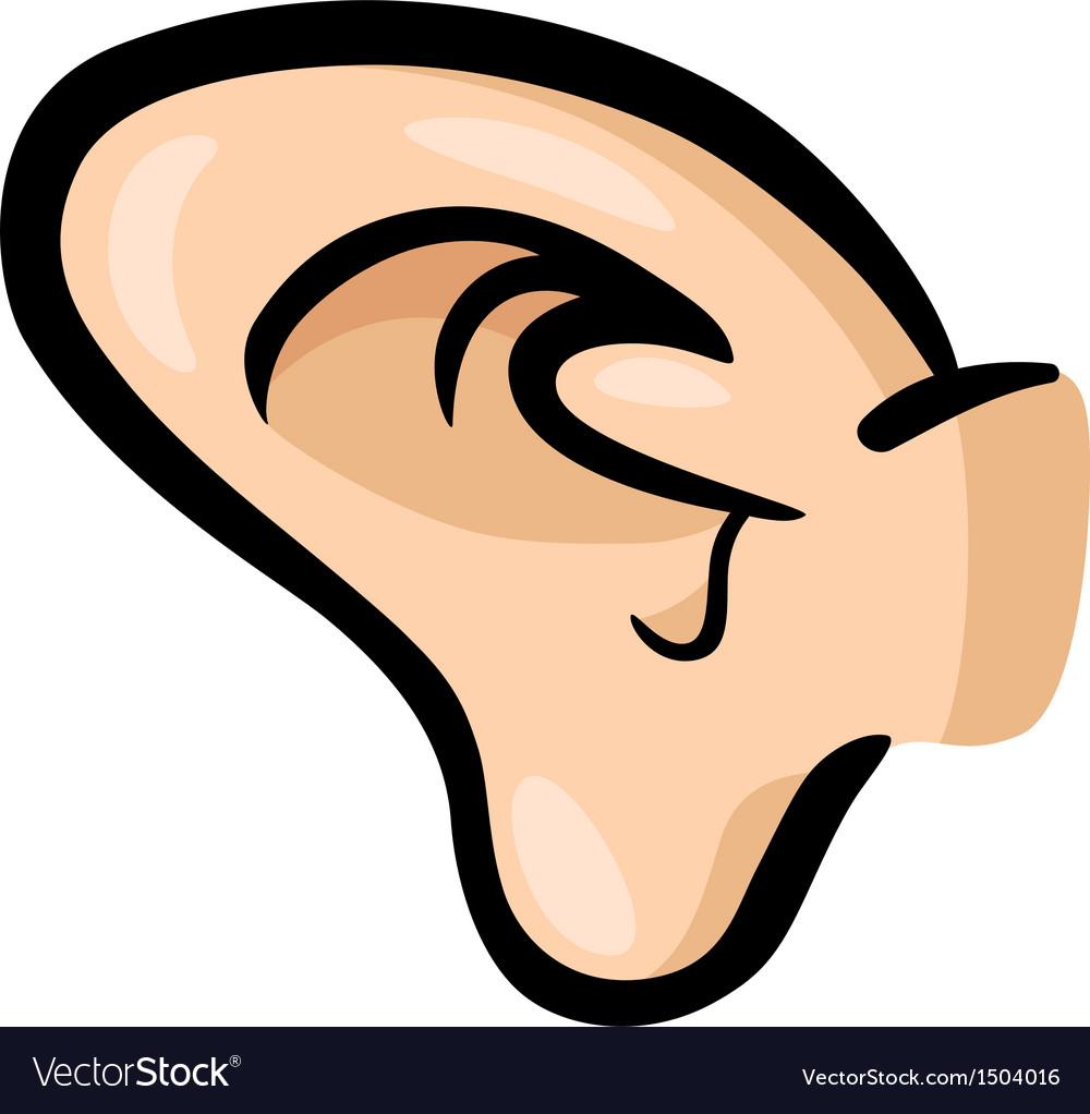 Detail Ear Clipart Nomer 47