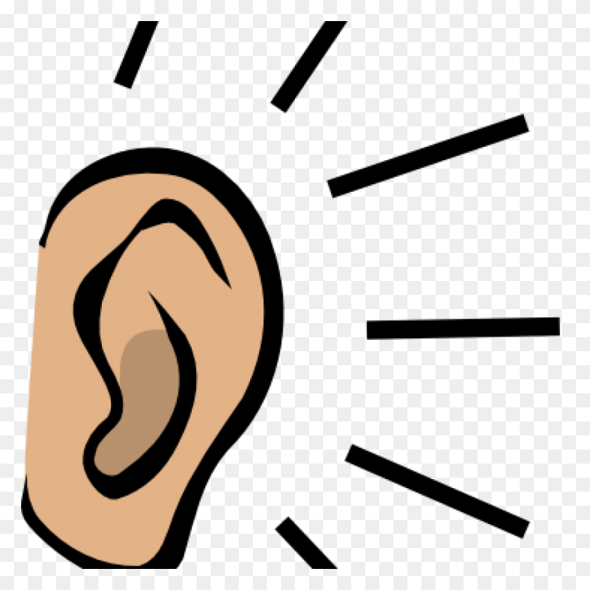 Detail Ear Clipart Png Nomer 11