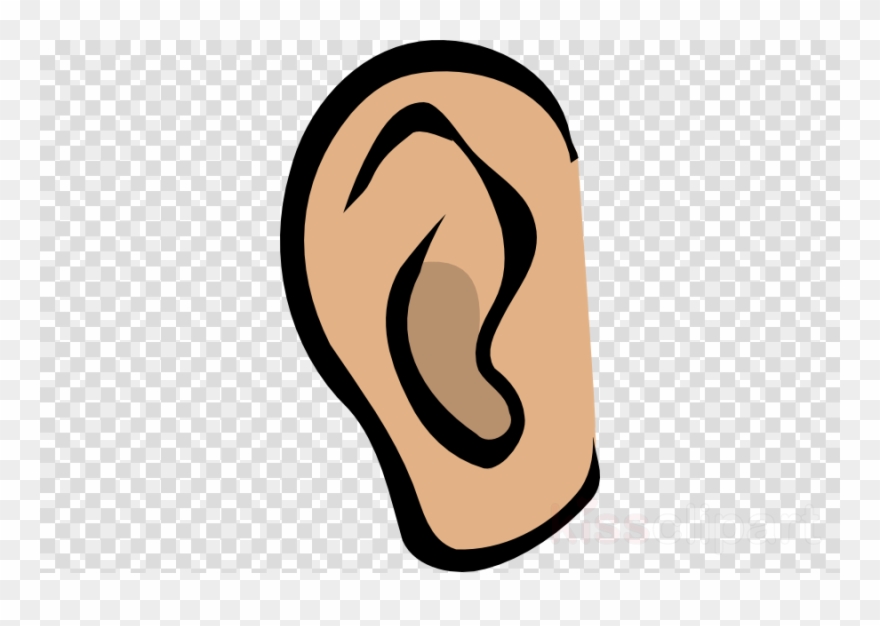 Detail Ear Clipart Png Nomer 15