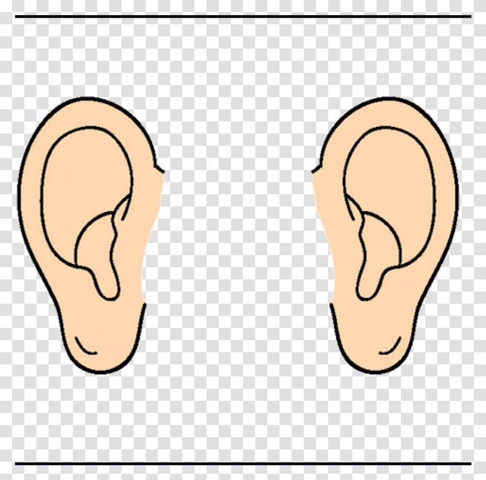 Detail Ear Clipart Png Nomer 28