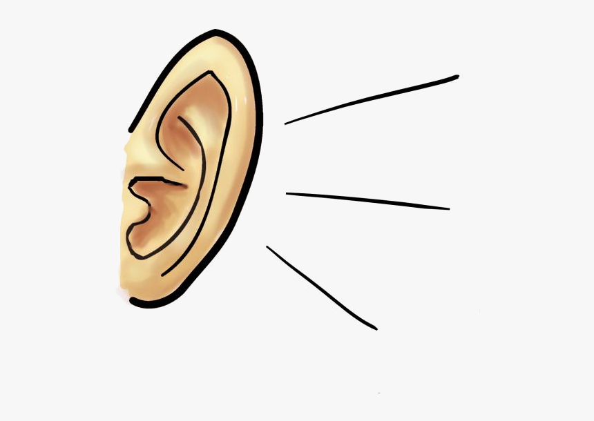 Detail Ear Clipart Png Nomer 34