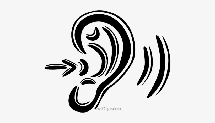 Detail Ear Clipart Png Nomer 54