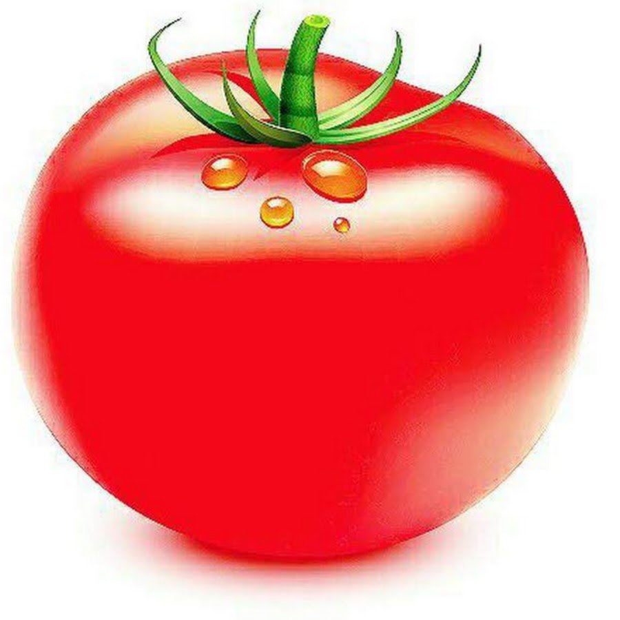 Detail Tomaten Lustige Bilder Nomer 4