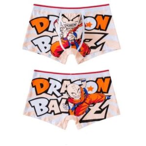 Detail Brief Drachen Nomer 22