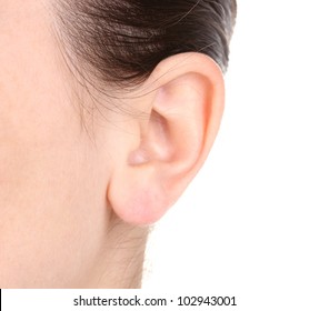 Detail Ear Images Free Nomer 19