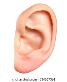 Detail Ear Images Free Nomer 27