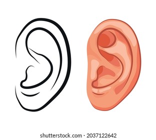 Detail Ear Images Free Nomer 28