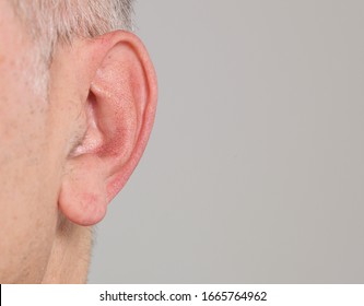 Detail Ear Images Free Nomer 29