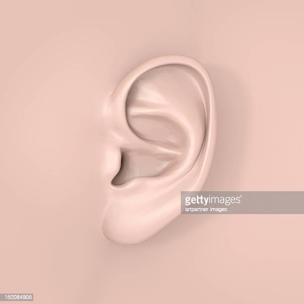 Detail Ear Images Free Nomer 36