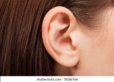 Detail Ear Images Free Nomer 37