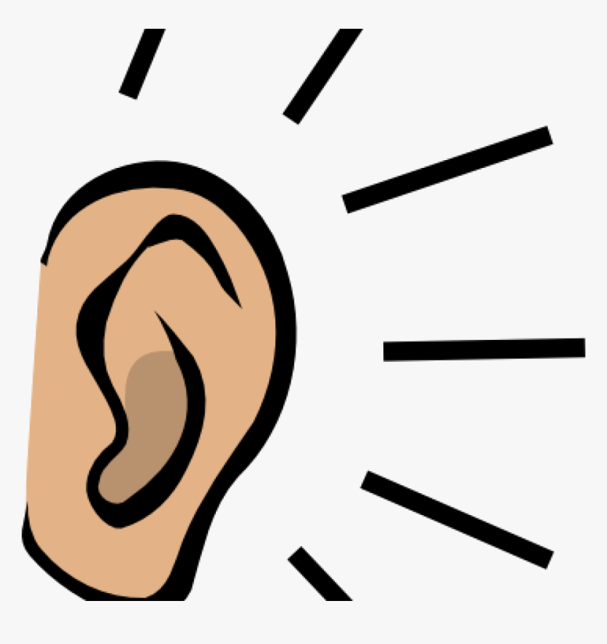 Detail Ear No Background Nomer 10