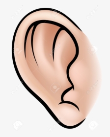 Detail Ear No Background Nomer 18