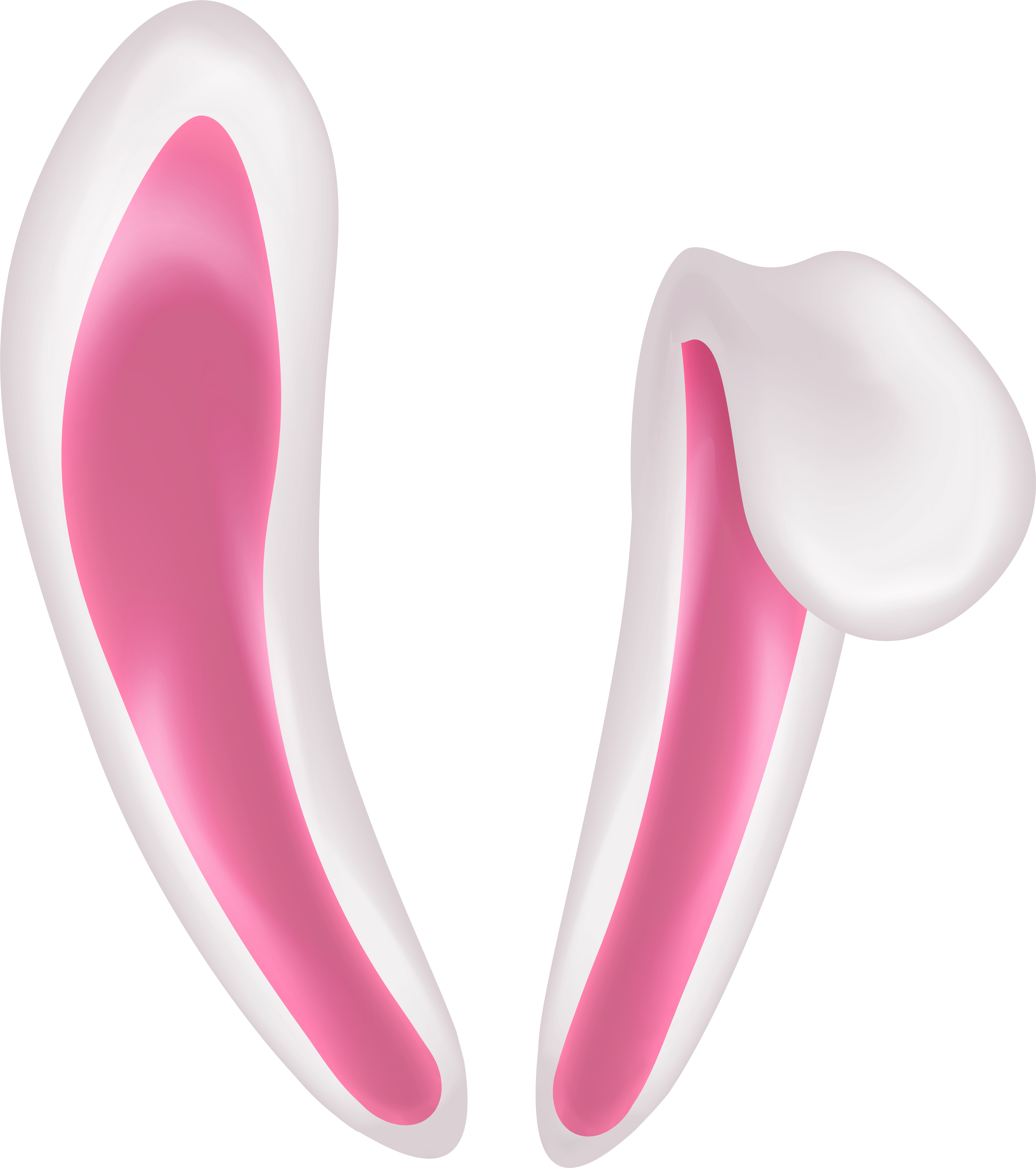 Detail Ear No Background Nomer 25
