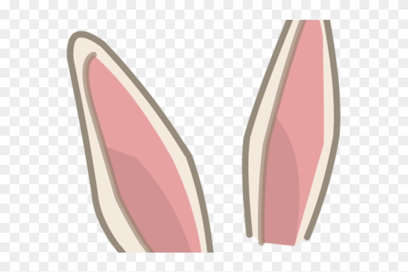 Detail Ear No Background Nomer 29