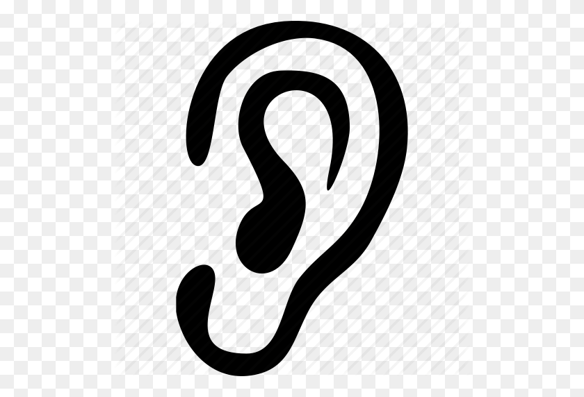 Detail Ear No Background Nomer 34