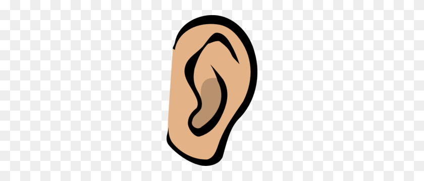 Detail Ear No Background Nomer 37