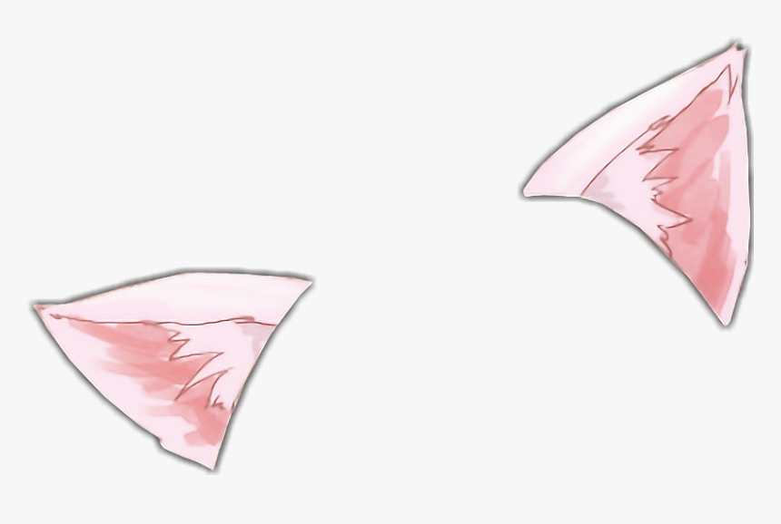 Detail Ear No Background Nomer 41