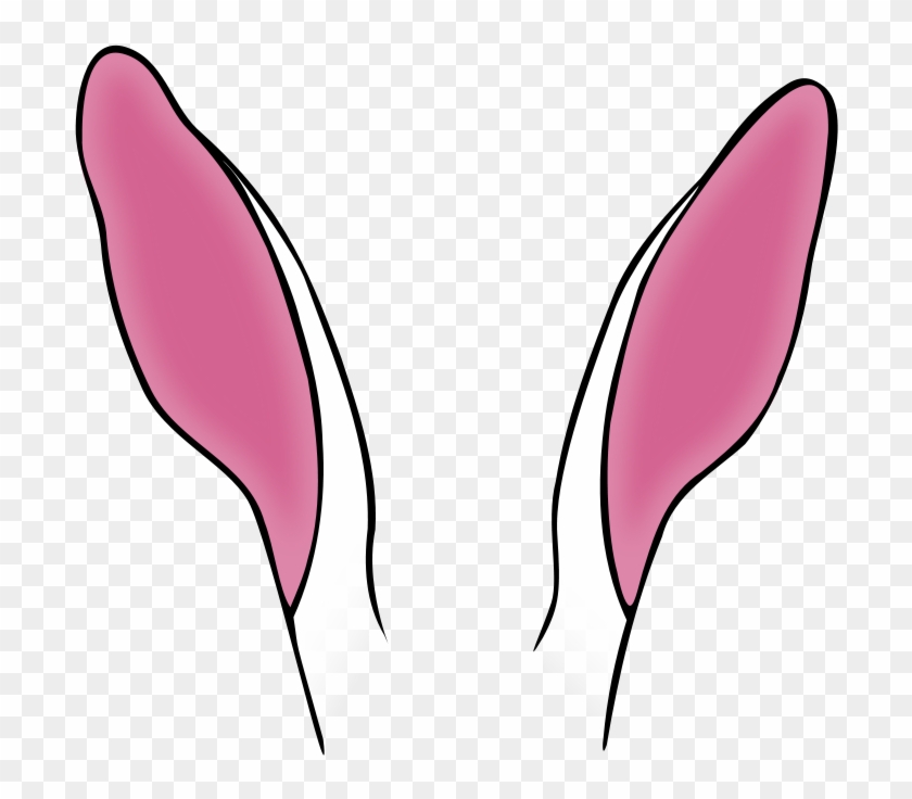 Detail Ear No Background Nomer 44