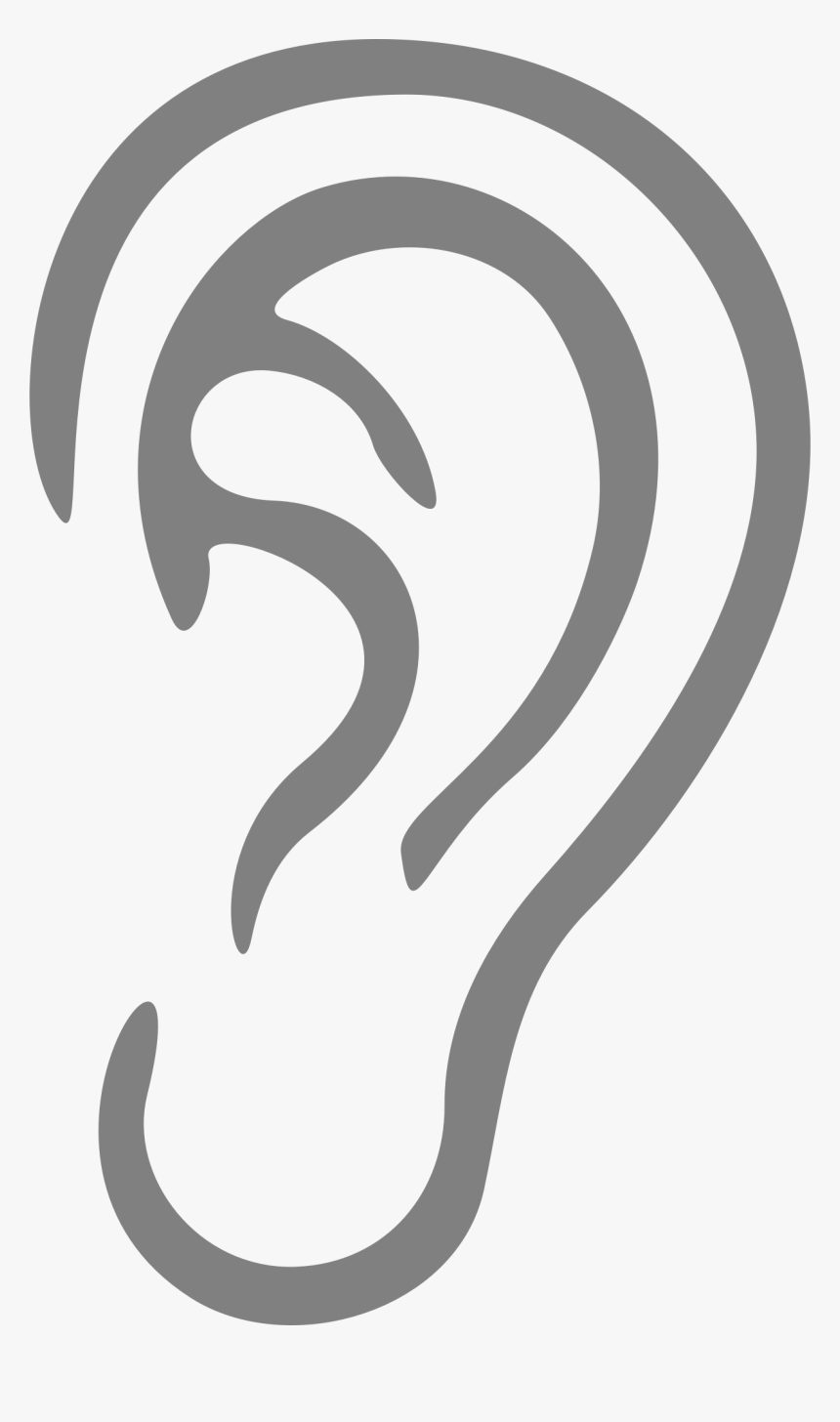 Detail Ear No Background Nomer 5