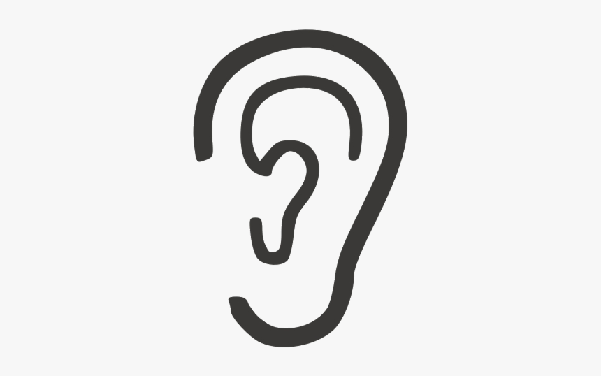 Detail Ear No Background Nomer 6