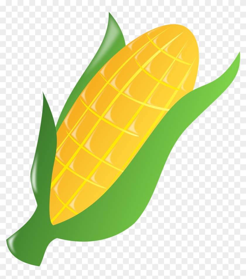 Detail Ear Of Corn Clipart Nomer 14