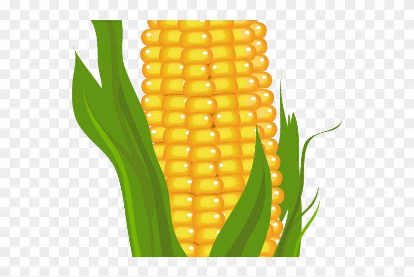 Detail Ear Of Corn Clipart Nomer 16