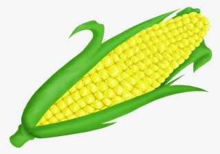 Detail Ear Of Corn Clipart Nomer 18