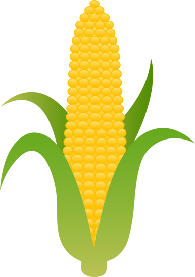 Detail Ear Of Corn Clipart Nomer 20