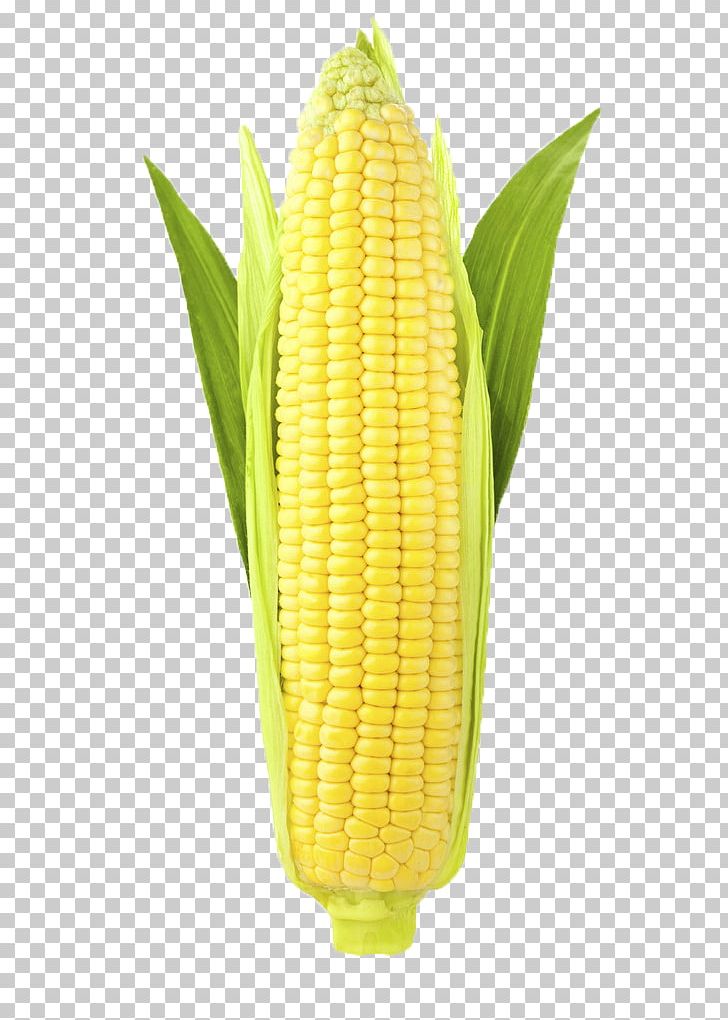 Detail Ear Of Corn Clipart Nomer 39