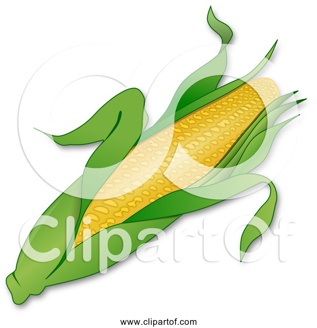 Detail Ear Of Corn Clipart Nomer 48