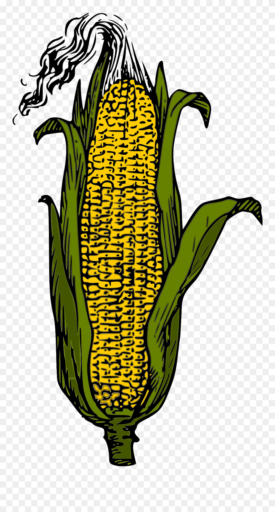 Detail Ear Of Corn Clipart Nomer 55