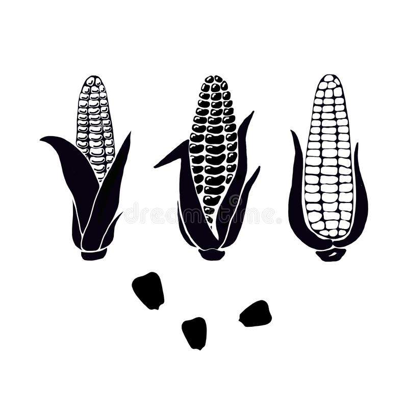 Detail Ear Of Corn Silhouette Nomer 24