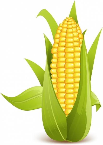 Detail Ear Of Corn Silhouette Nomer 31