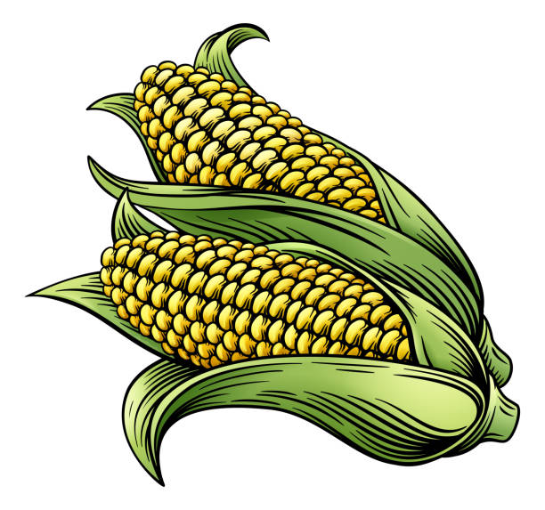 Detail Ear Of Corn Silhouette Nomer 44