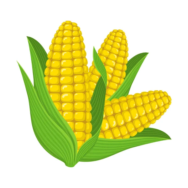 Detail Ear Of Corn Silhouette Nomer 52