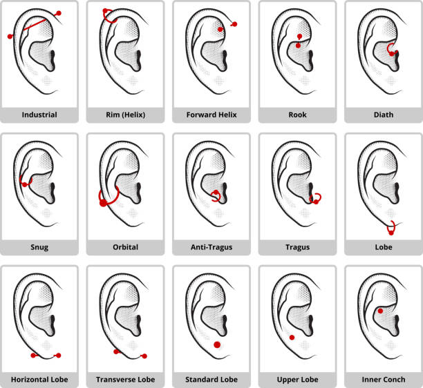 Detail Ear Piercing Clipart Nomer 21