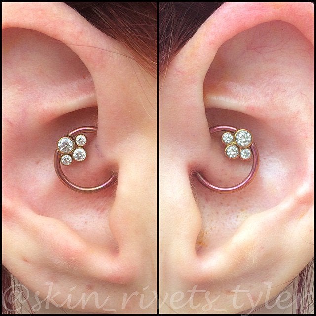 Detail Ear Piercing Knoxville Nomer 40
