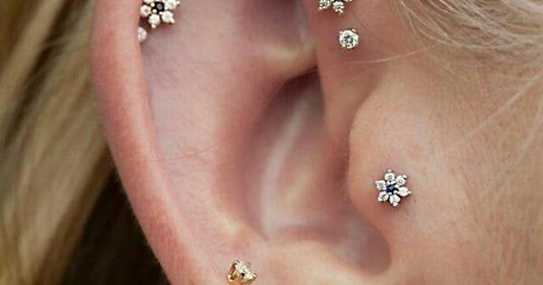 Detail Ear Piercing Knoxville Nomer 57