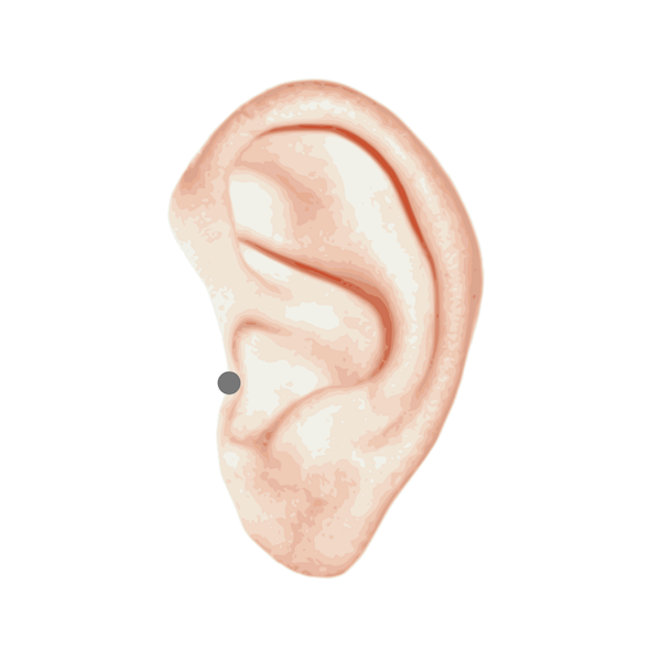 Detail Ear Piercings Png Nomer 38