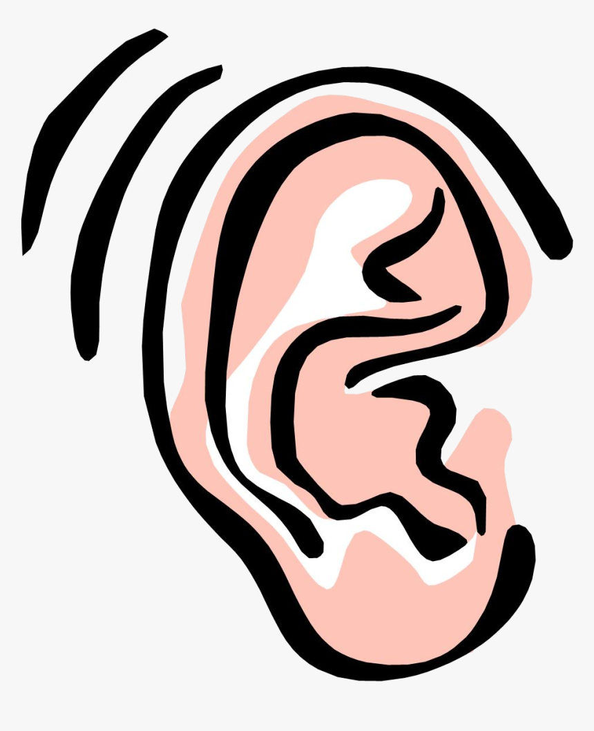 Detail Ear Transparent Background Nomer 15