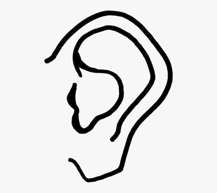 Detail Ear Transparent Background Nomer 17