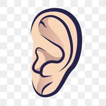 Detail Ear Transparent Background Nomer 19