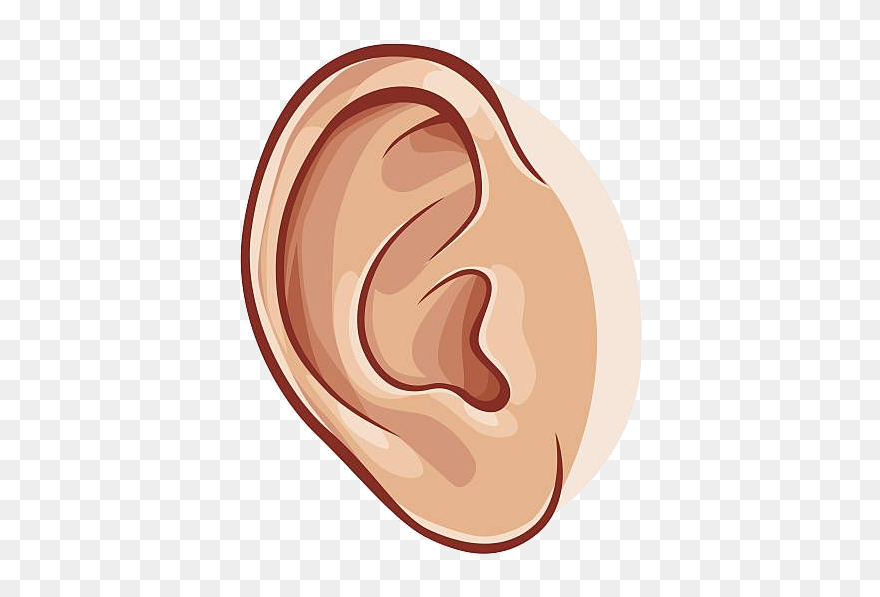 Detail Ear Transparent Background Nomer 20