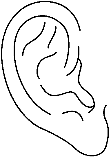 Detail Ears Clip Art Nomer 31